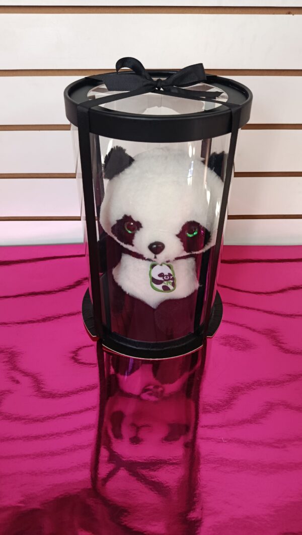GPC4 Peluche Panda en caja de regalo